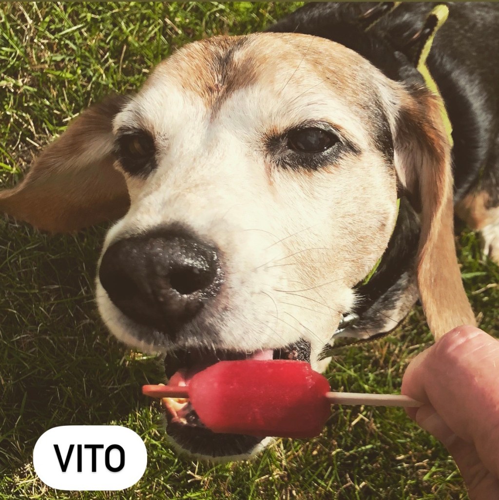 a9892774-bddb-401e-9dff-ba01ed67eece-1