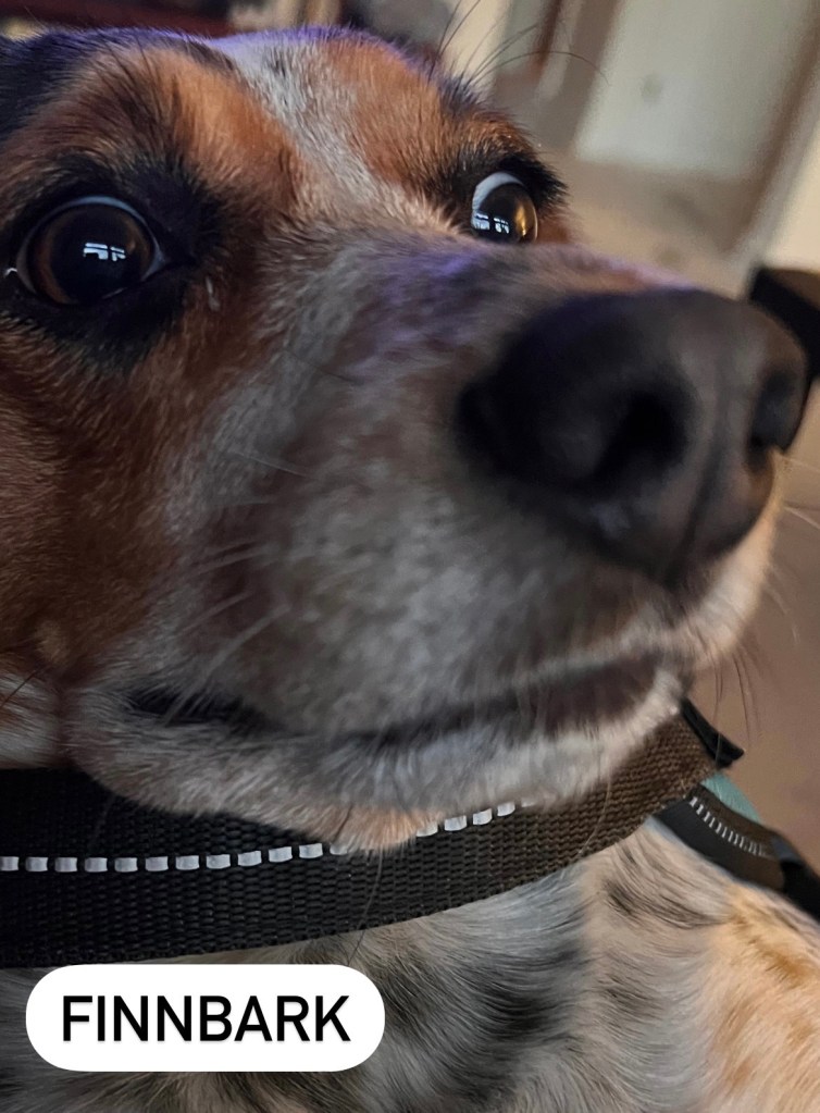 c8da15d3-8808-4543-bfbc-0f149efc226f-2-1